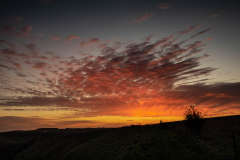 Westbury Sunset © Austen O’Hanlon 2021