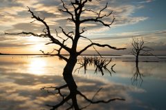 Porlock flood 2 © Austen O’Hanlon 2021