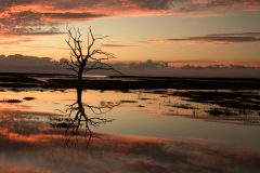 Porlock flood © Austen O’Hanlon 2021