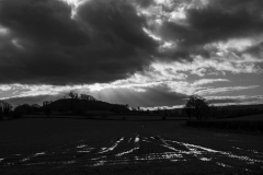 Uley winter light © Austen O’Hanlon 2021